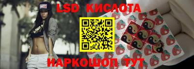 гашик Аргун