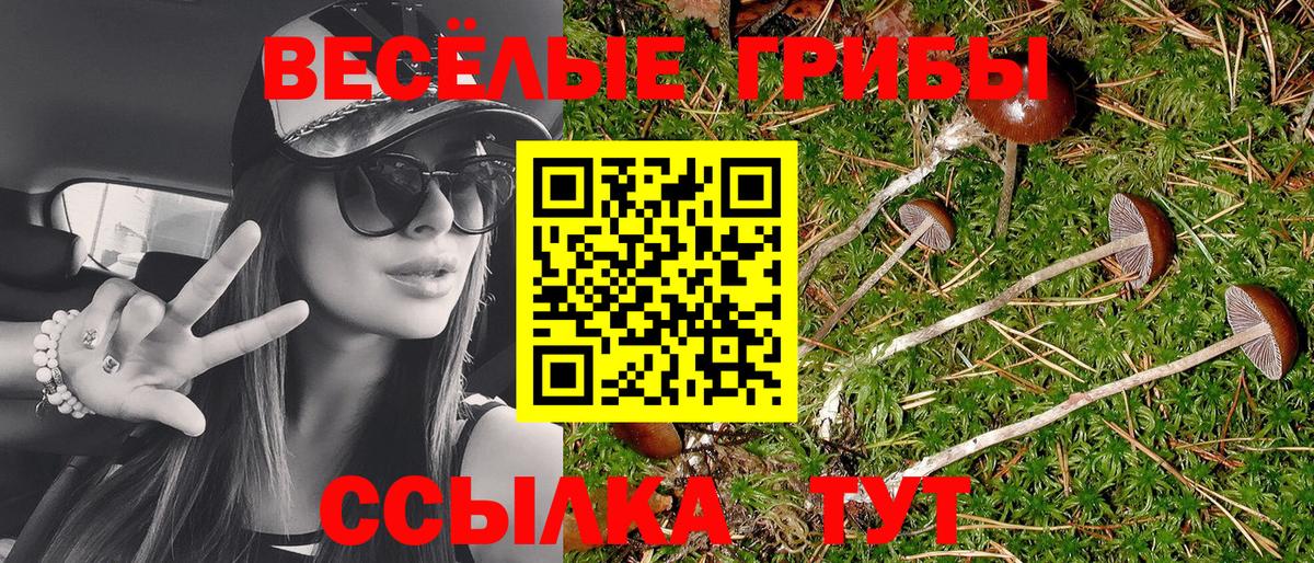 Великий Устюг  Галлюциногенные грибы MAGIC MUSHROOMS  Вход с VPN 